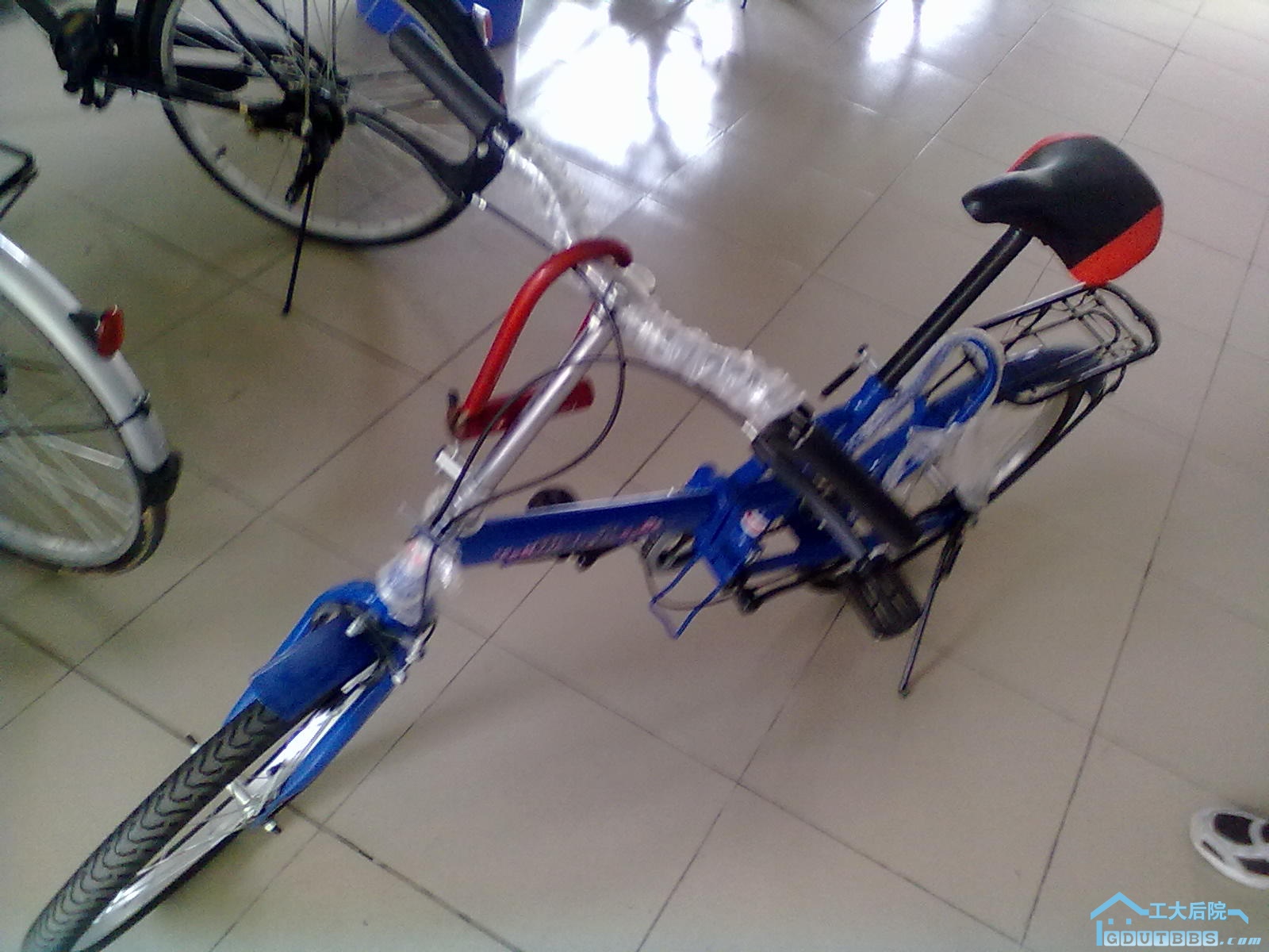 20100906027.jpg