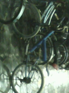 IMG0058A.jpg