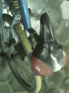 IMG0060A.jpg