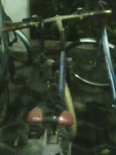 IMG0059A.jpg