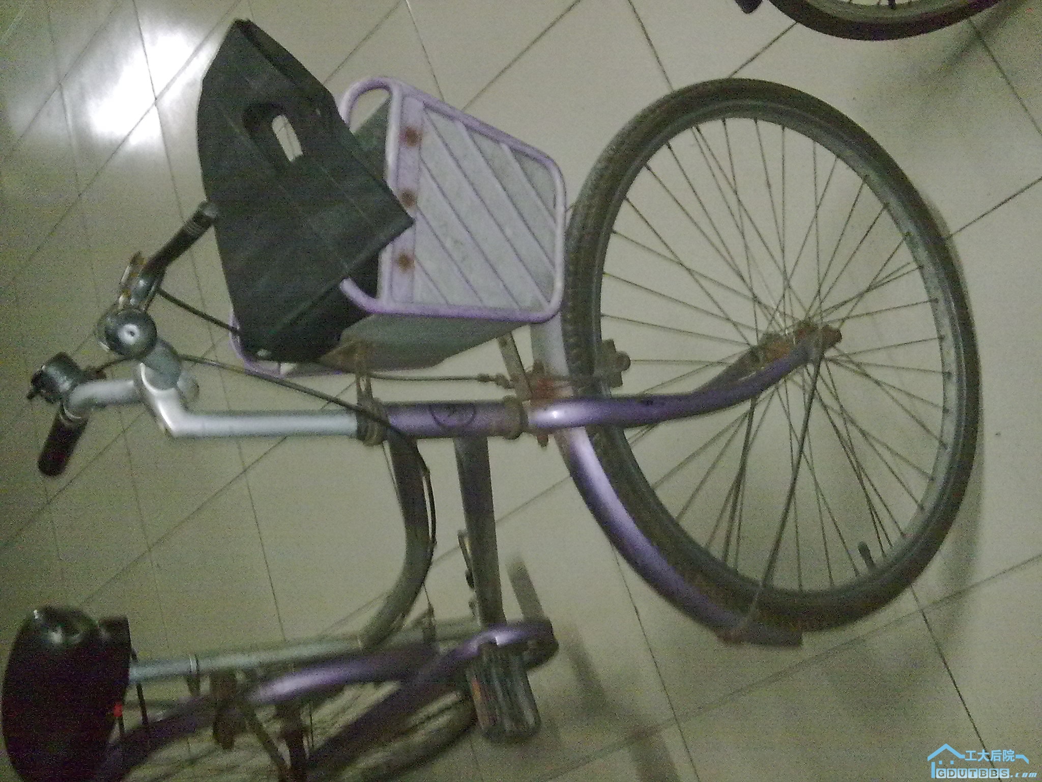 20100905399.jpg