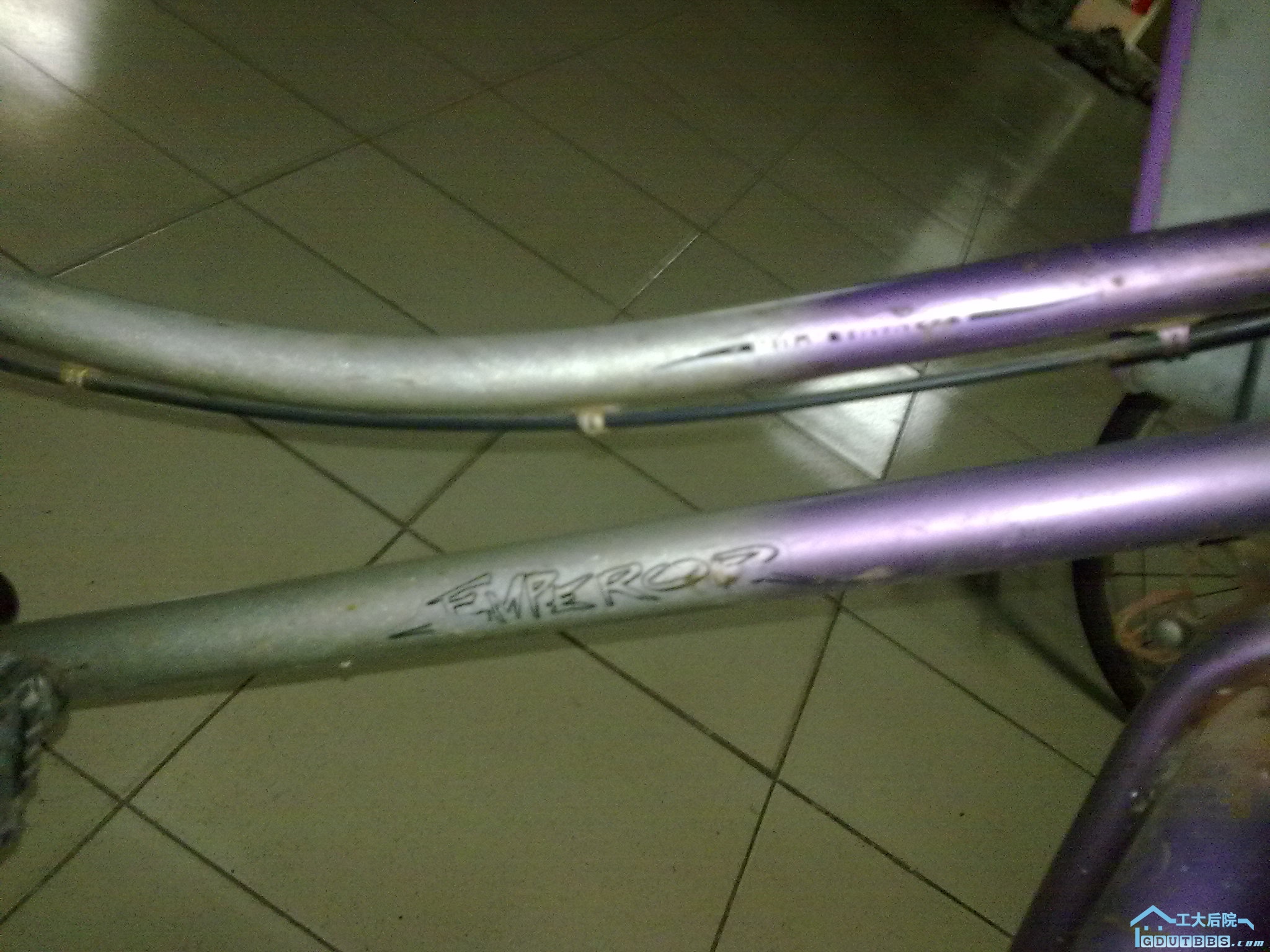 20100905400.jpg