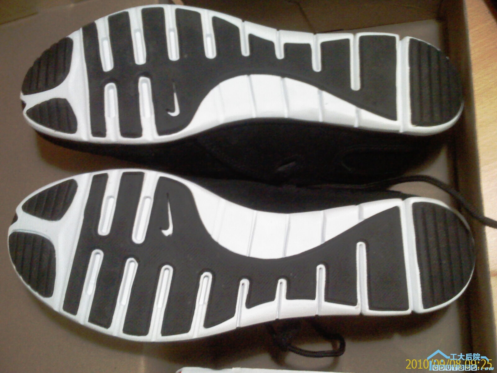 IMAG0163.jpg