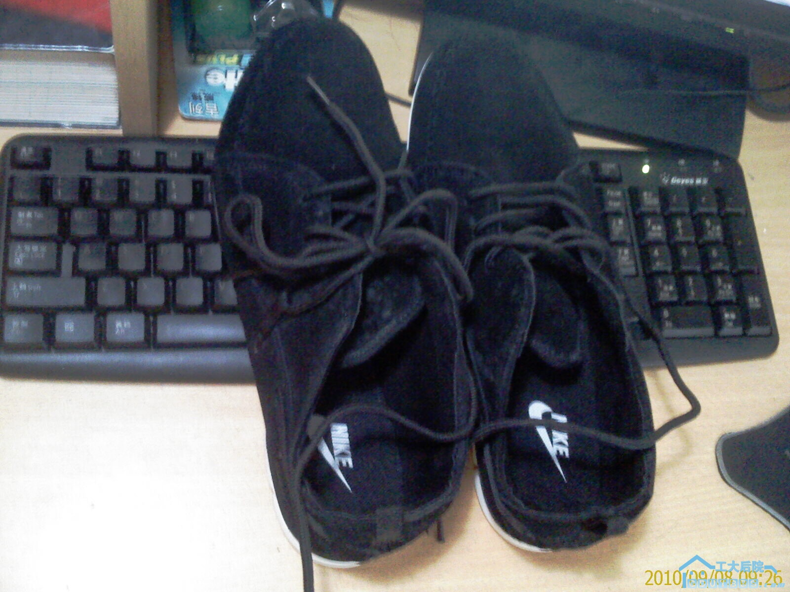 IMAG0164.jpg