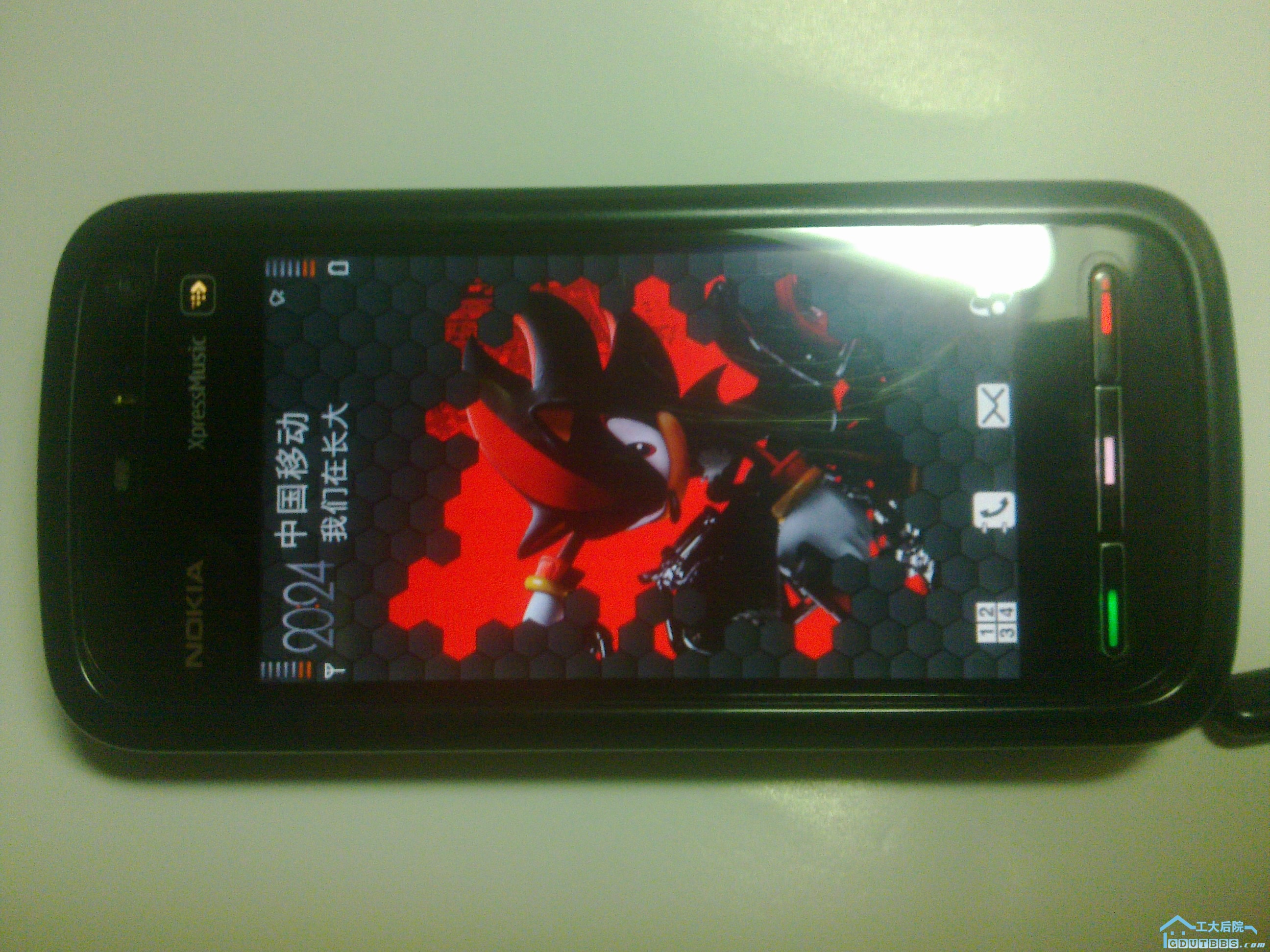 20100909295.jpg