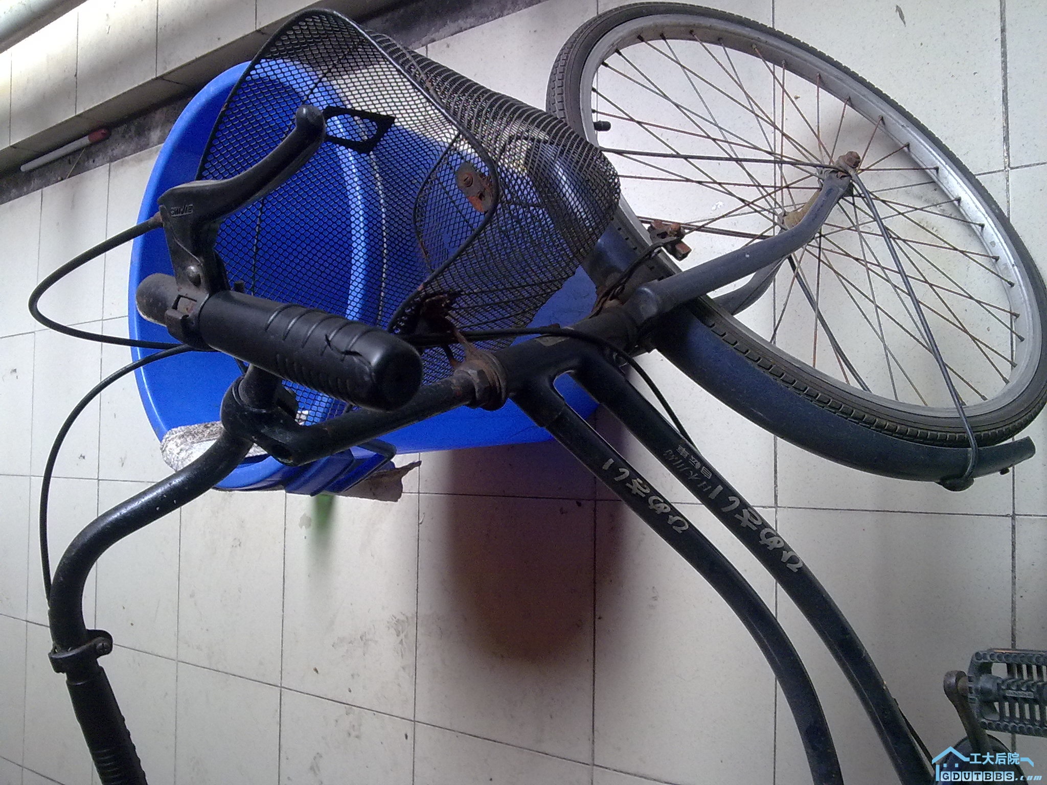 20100910002.jpg