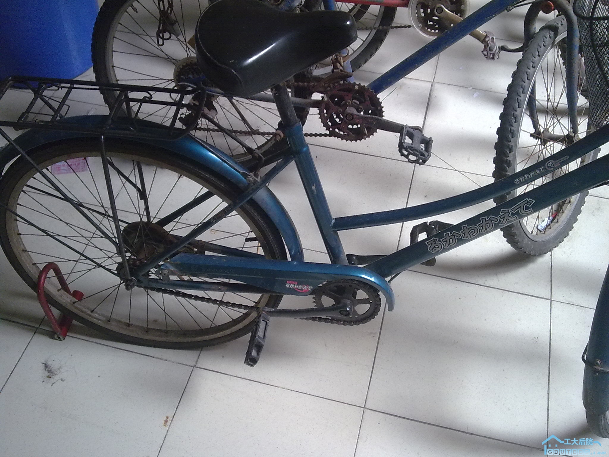 20100910001.jpg