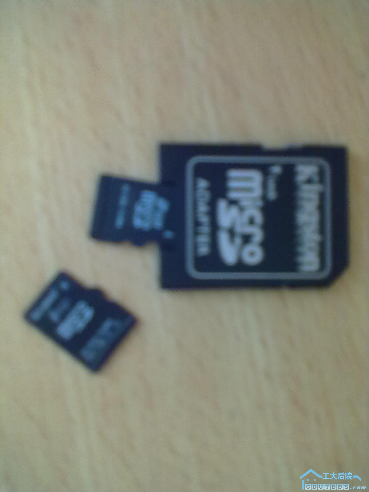 20100910013.jpg