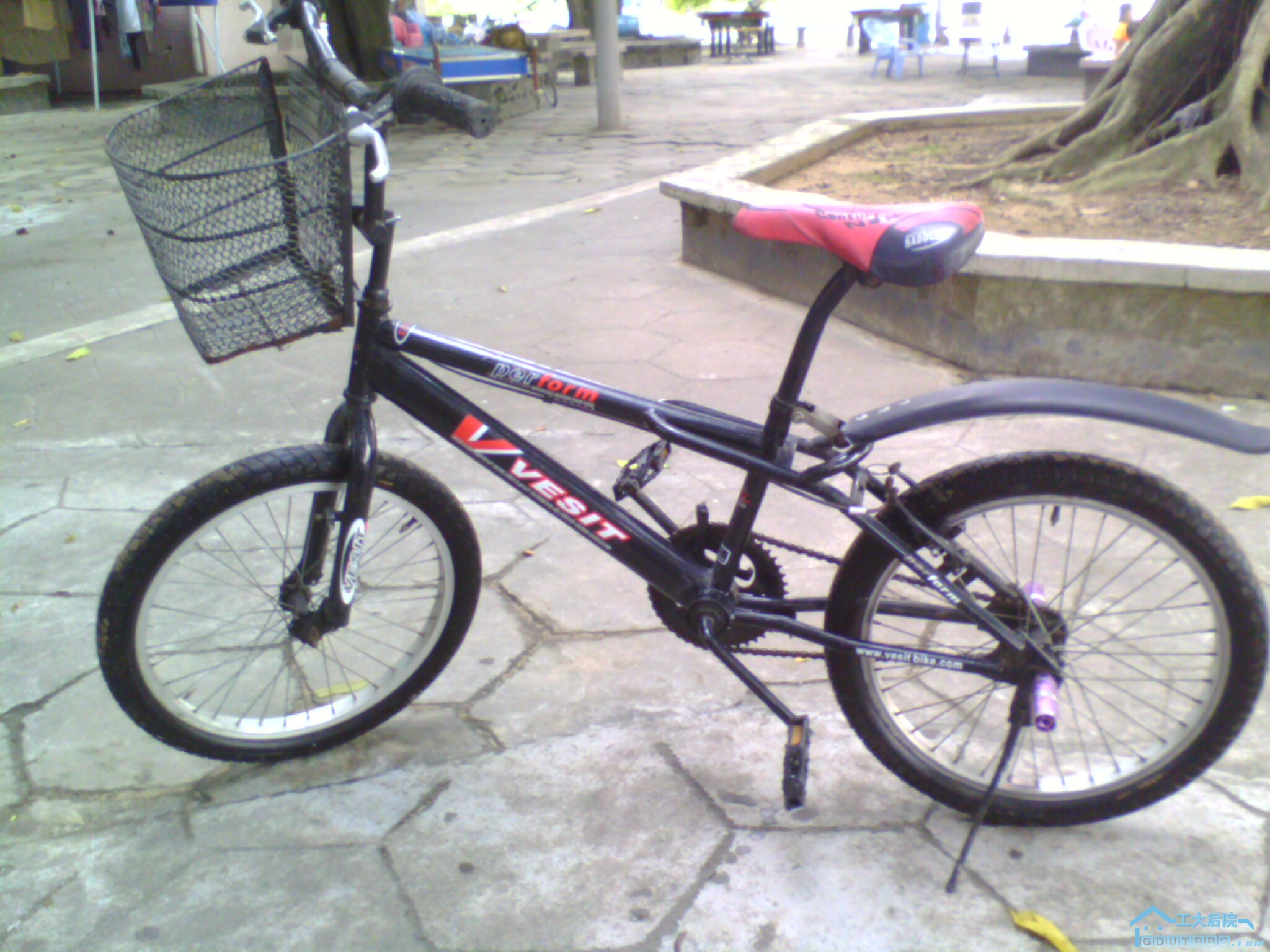 IMG0034A.jpg