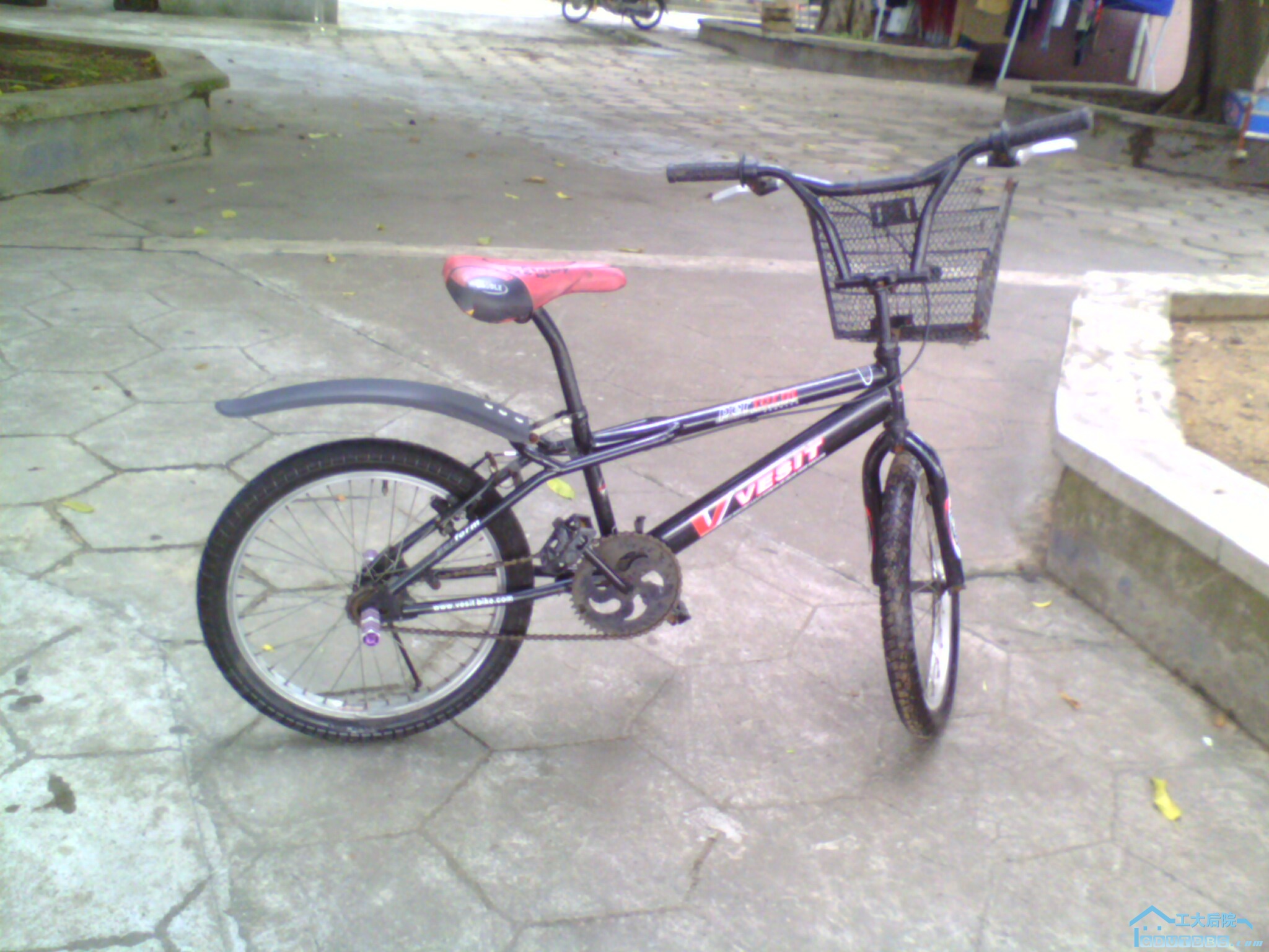 IMG0035A.jpg