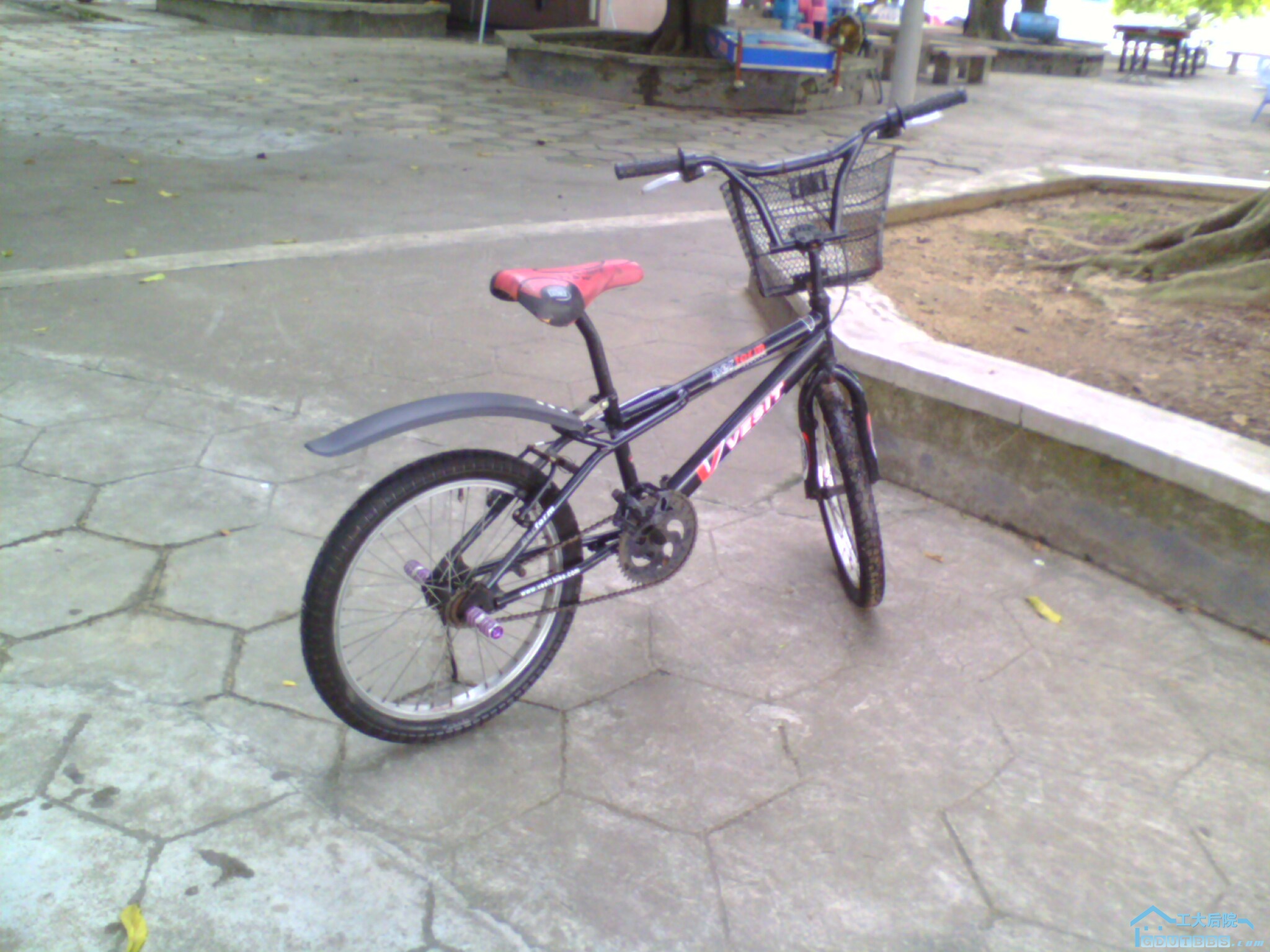 IMG0036A.jpg