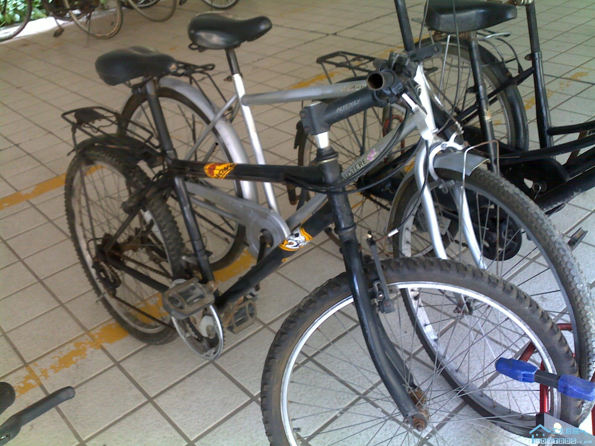 20100915636.jpg