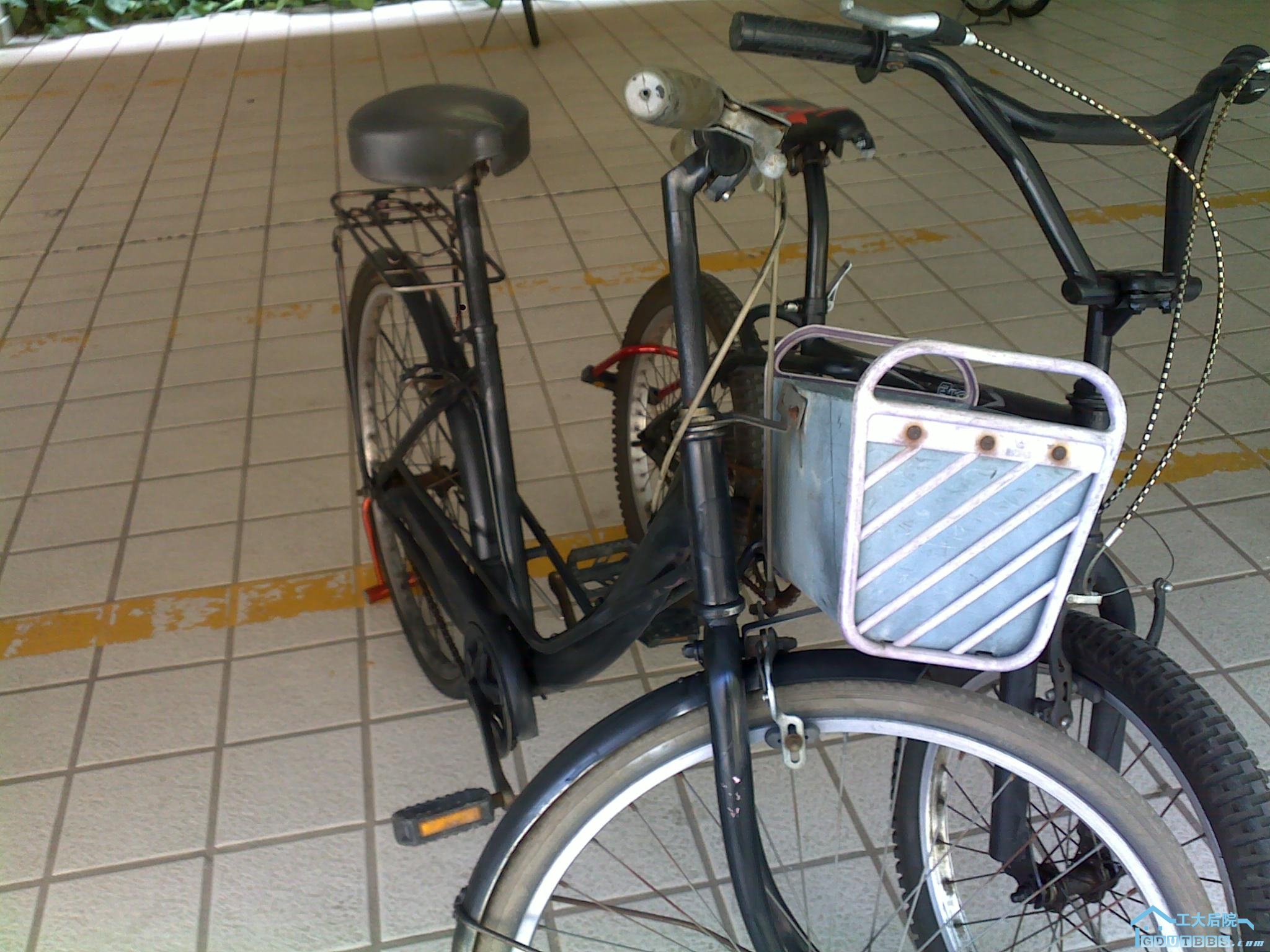 20100915635.jpg