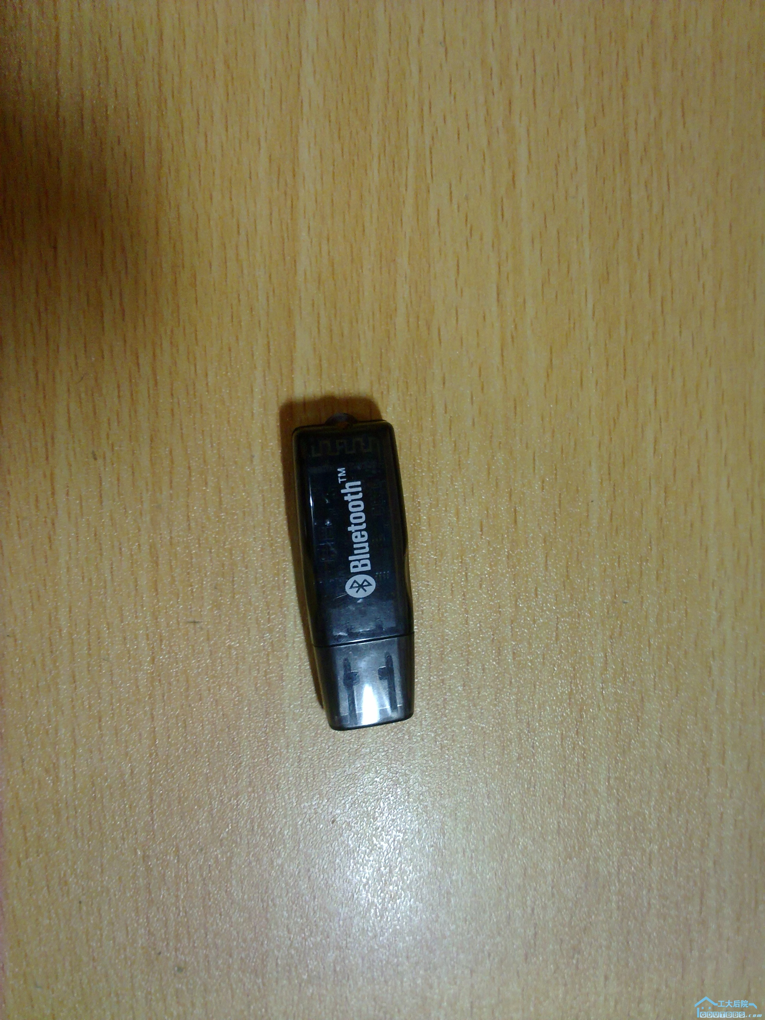 20100917119.jpg