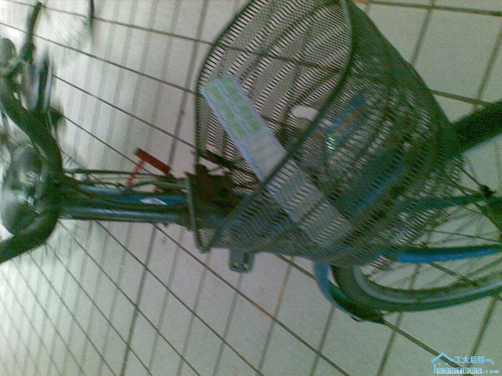 CC000012.jpg