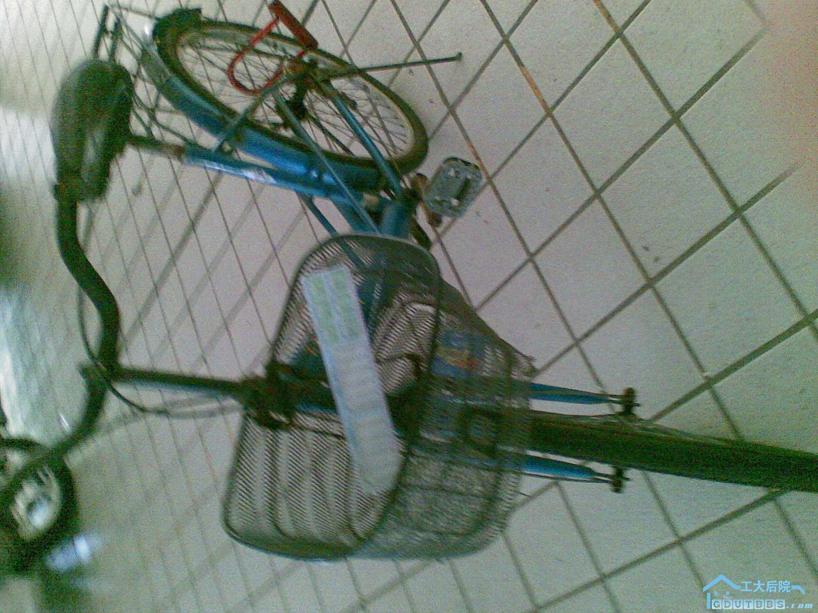 CC000010.jpg