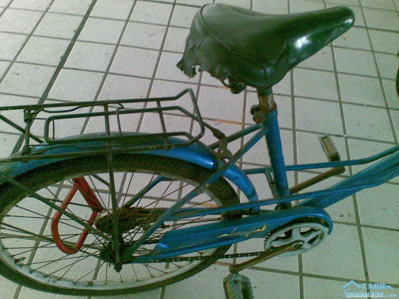CC000011.jpg