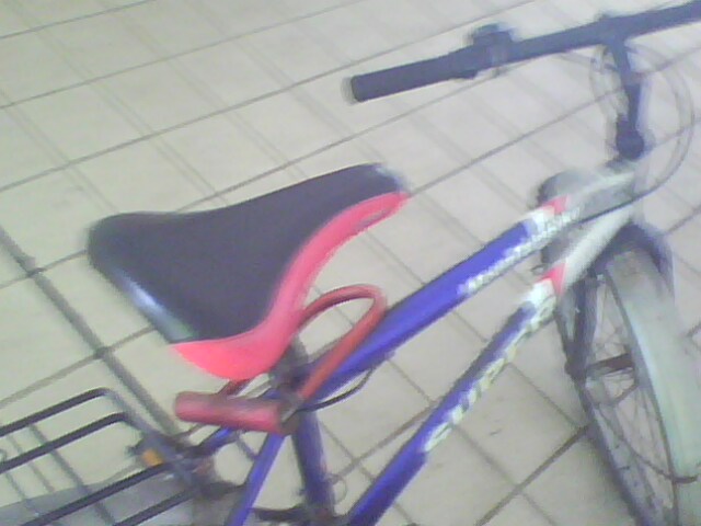IMG0466A.jpg