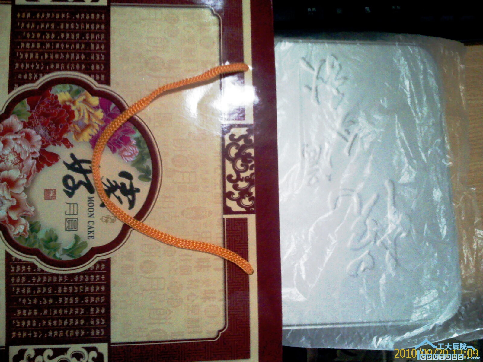 IMAG0177.jpg