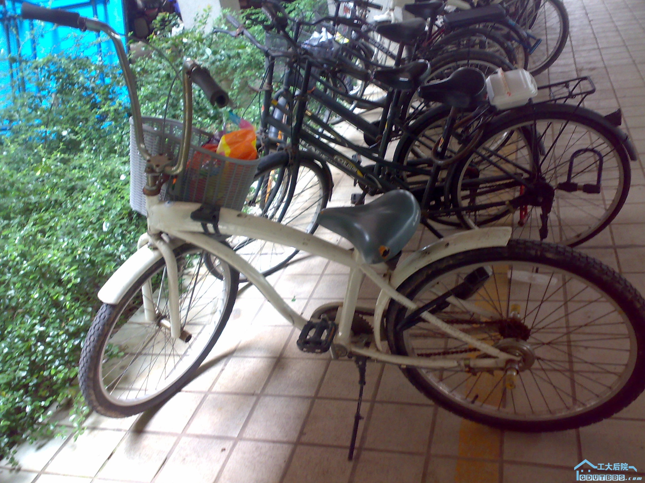 20100926168.jpg
