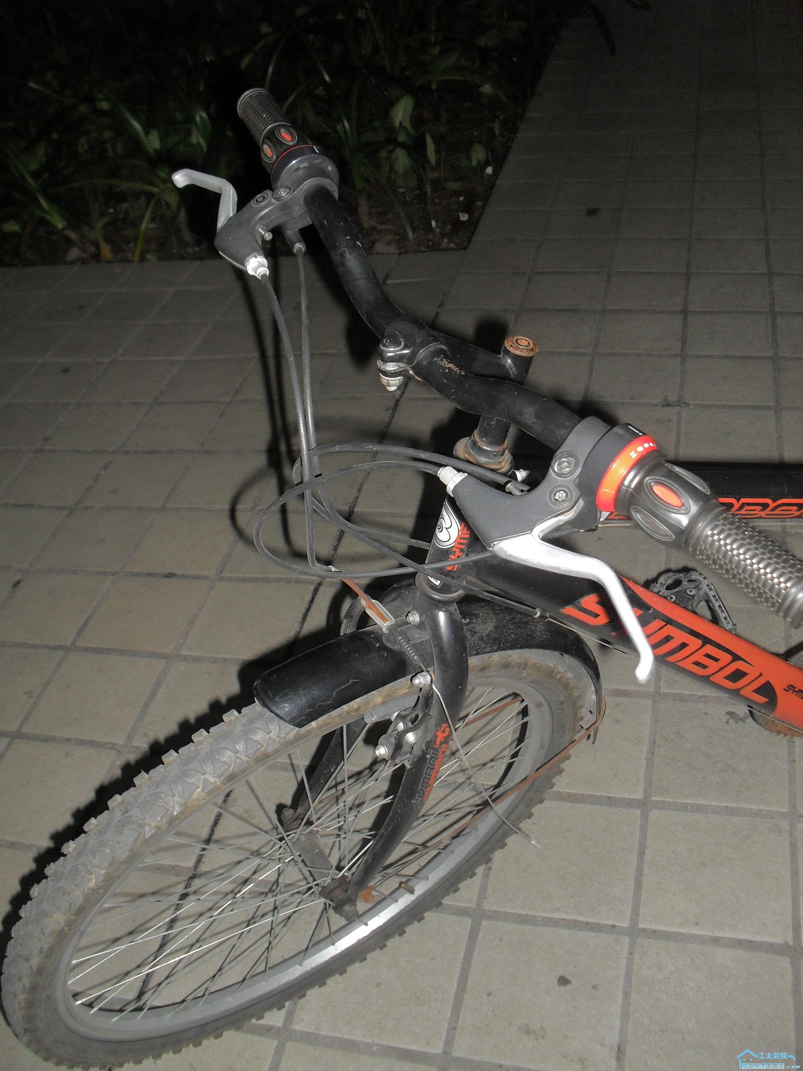SDC14605.JPG