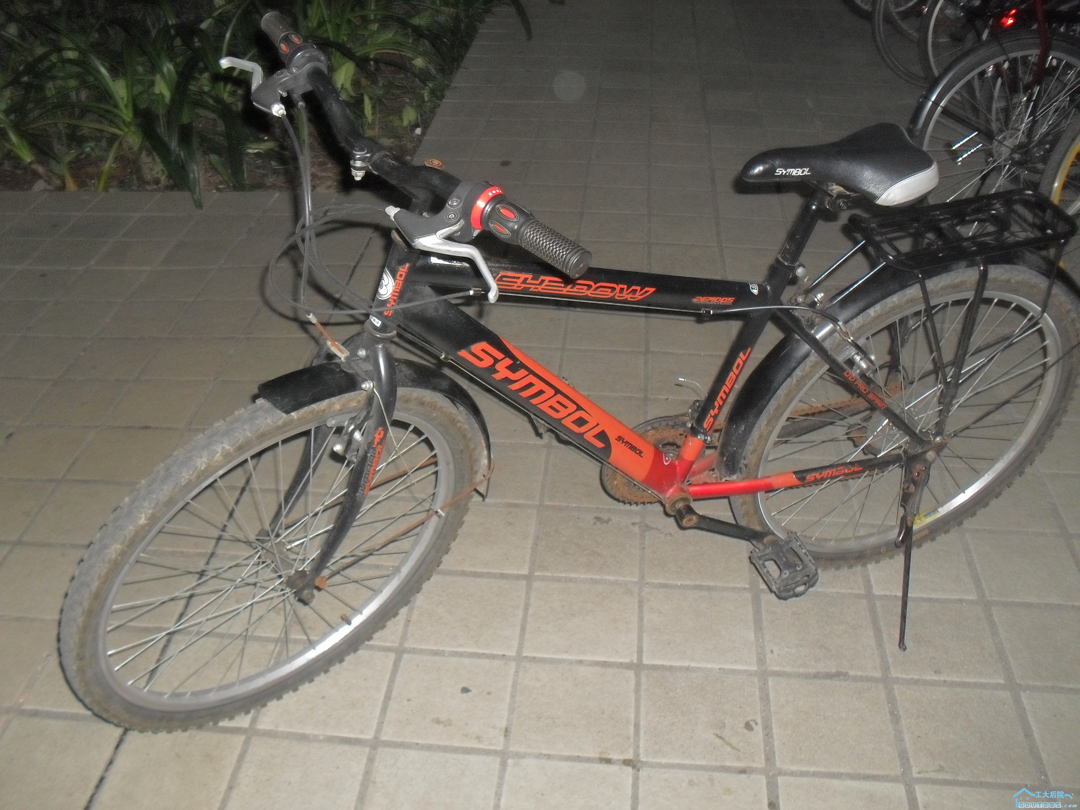 SDC14602.JPG