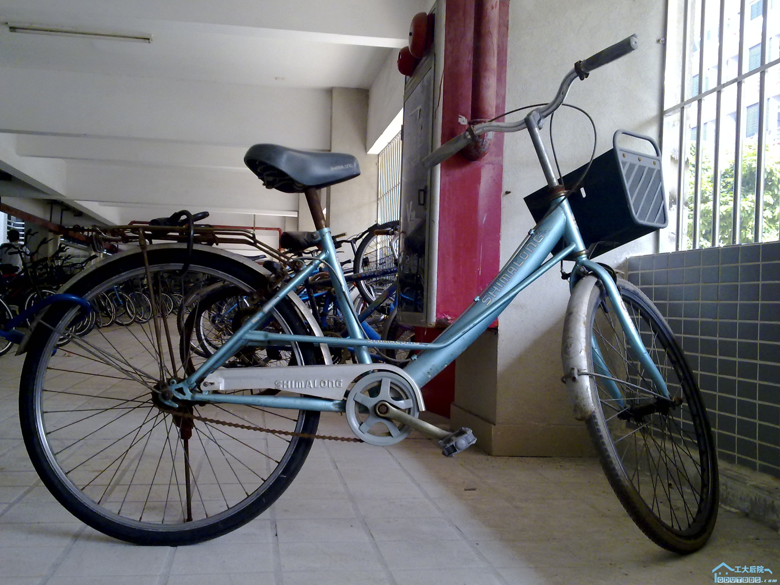 201009271185.jpg