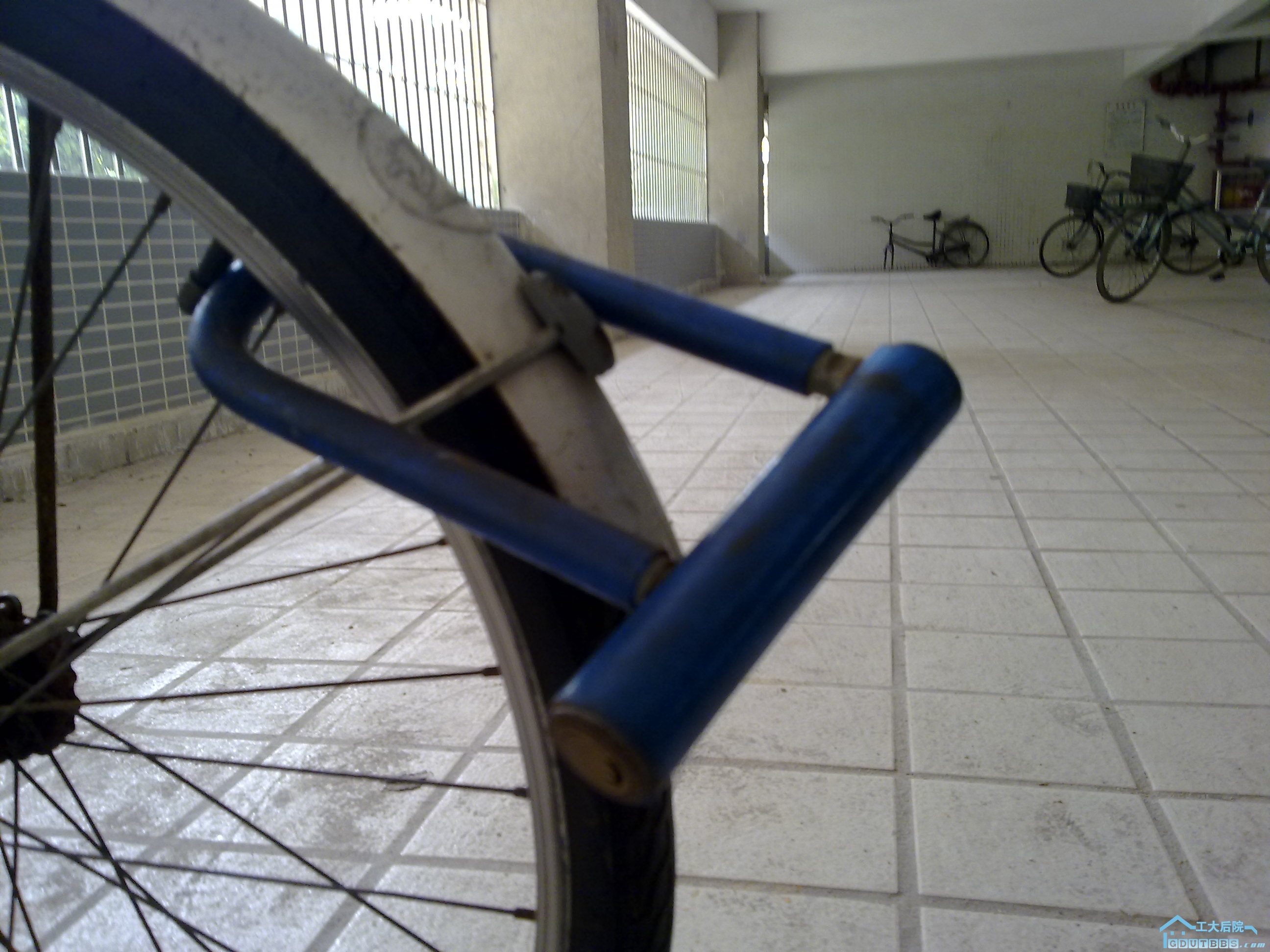 201009271187.jpg