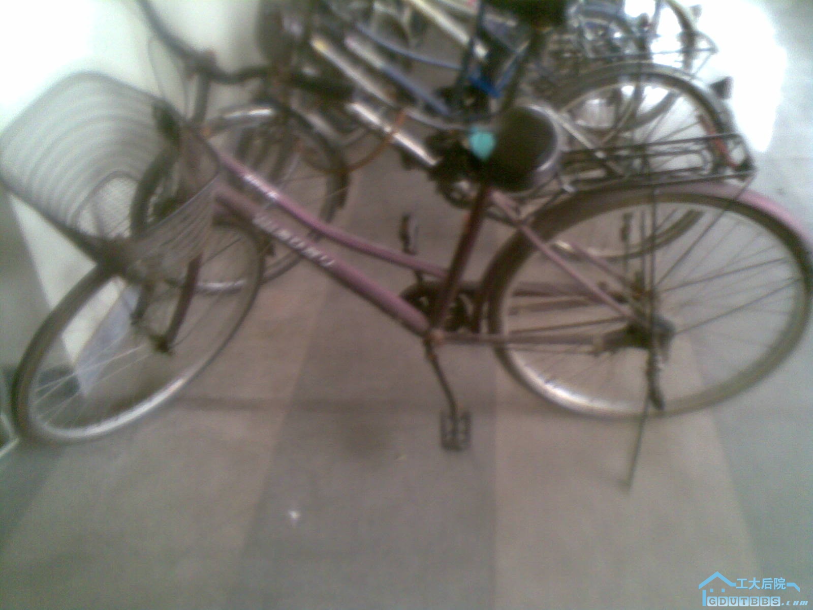 20101007.jpg