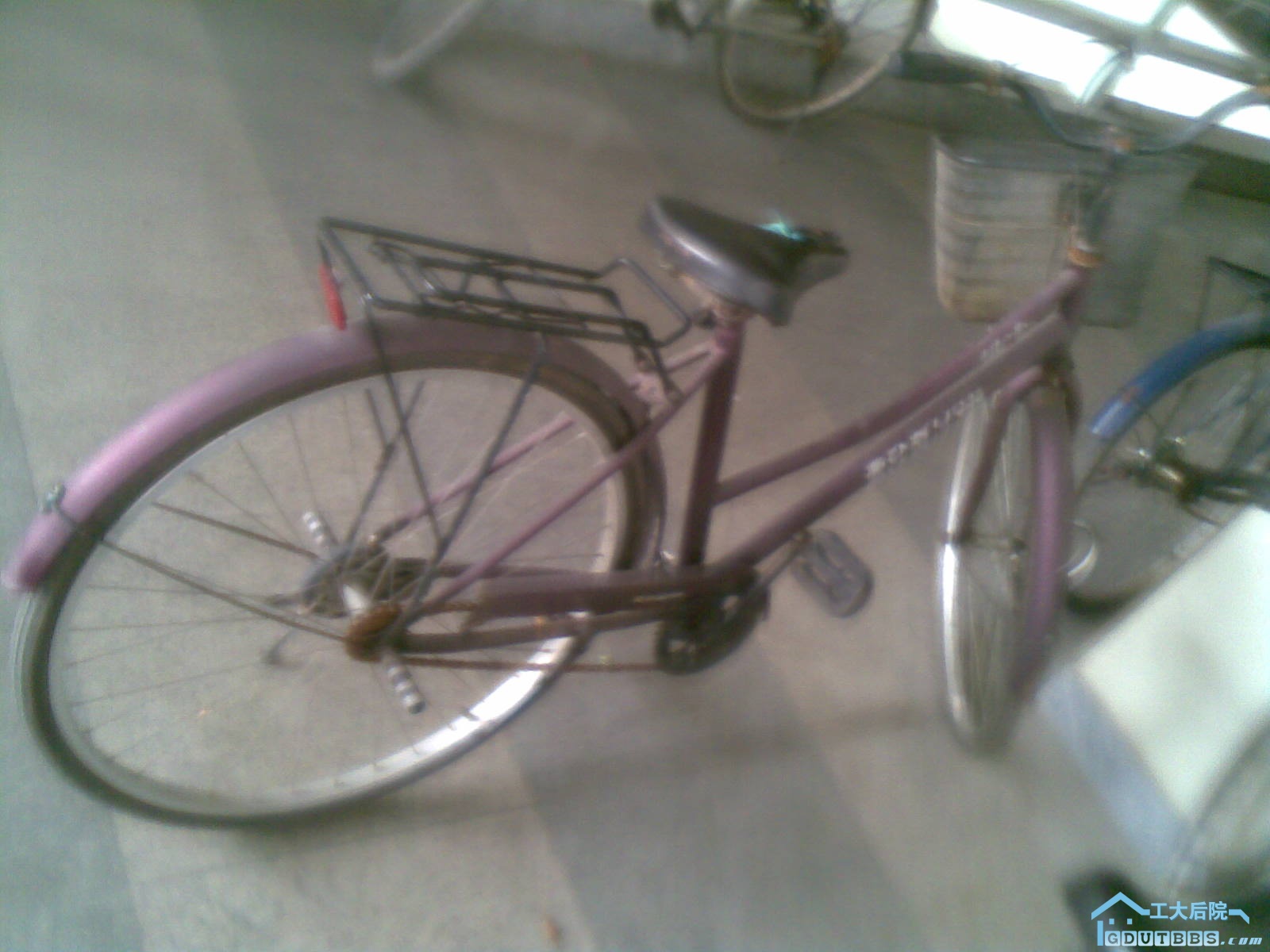 20101007(004).jpg