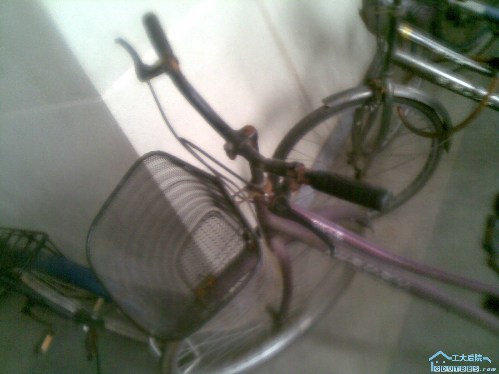 20101007(002).jpg