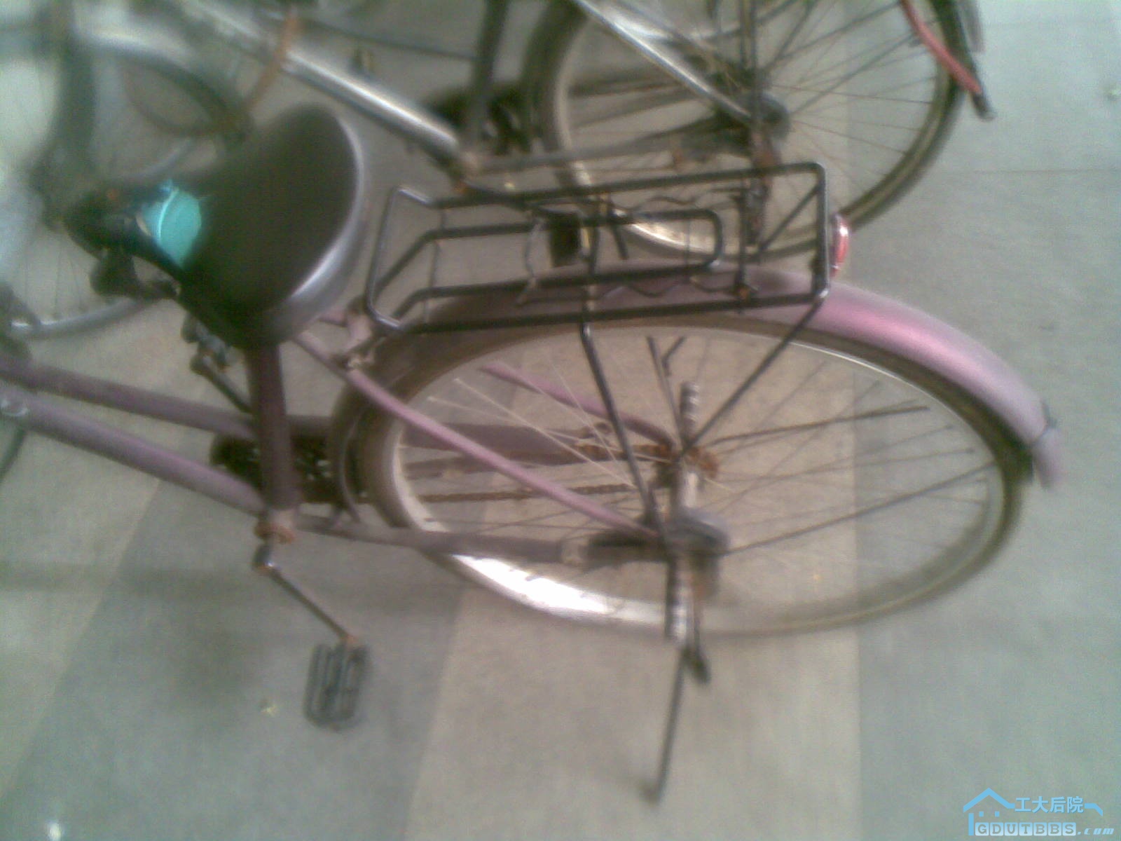 20101007(001).jpg