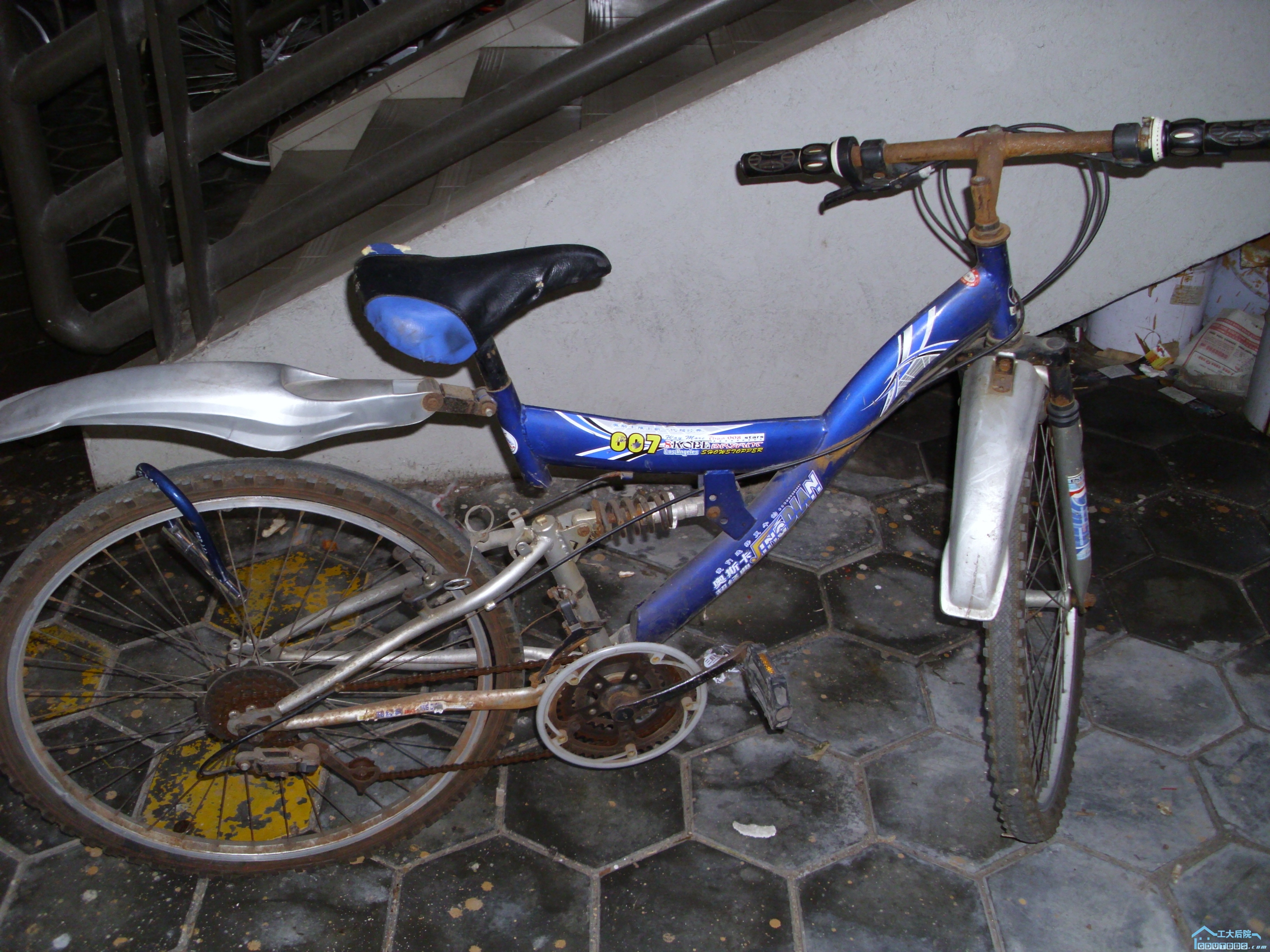 DSCI0079.JPG