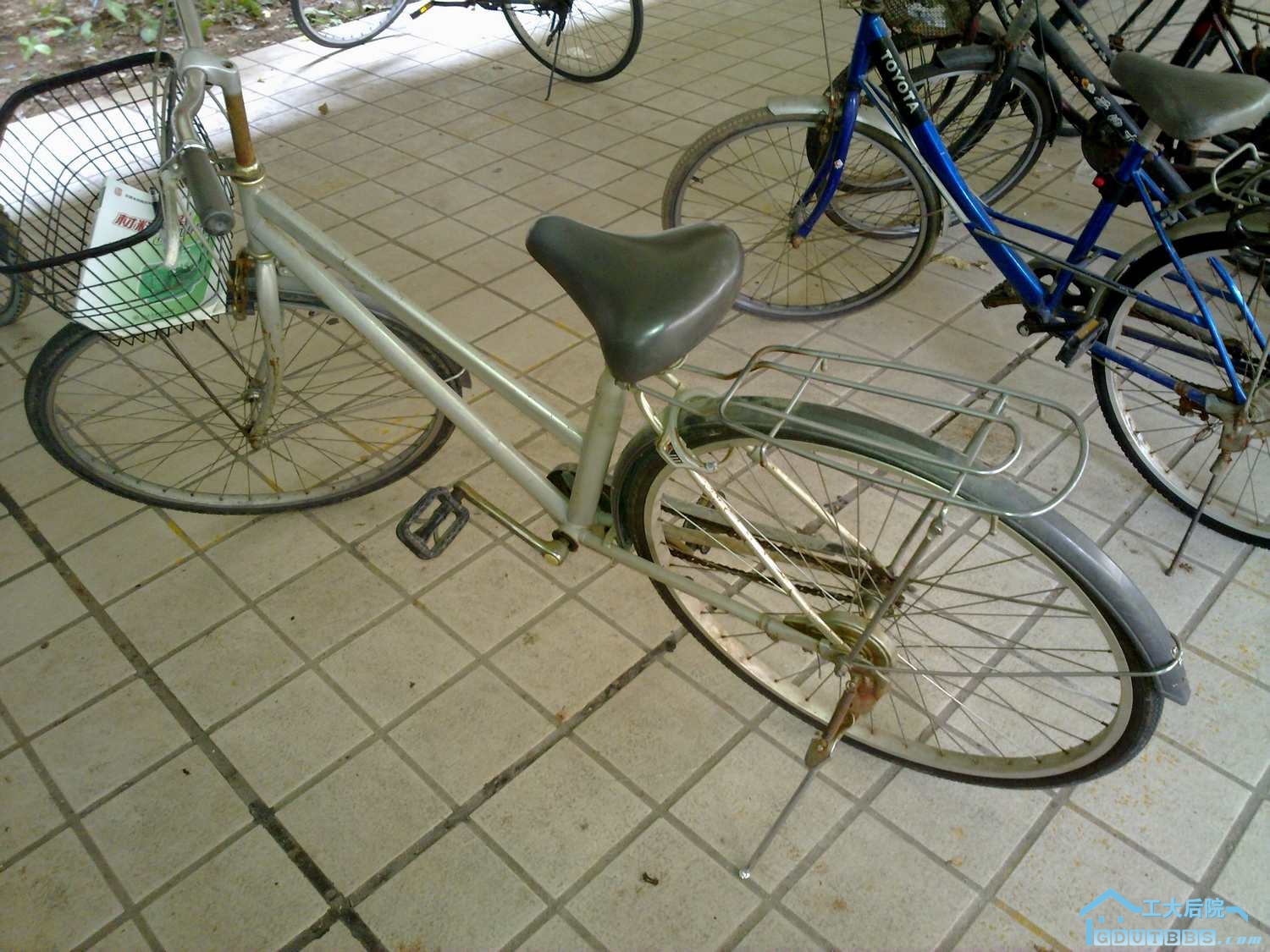 20101013243.jpg