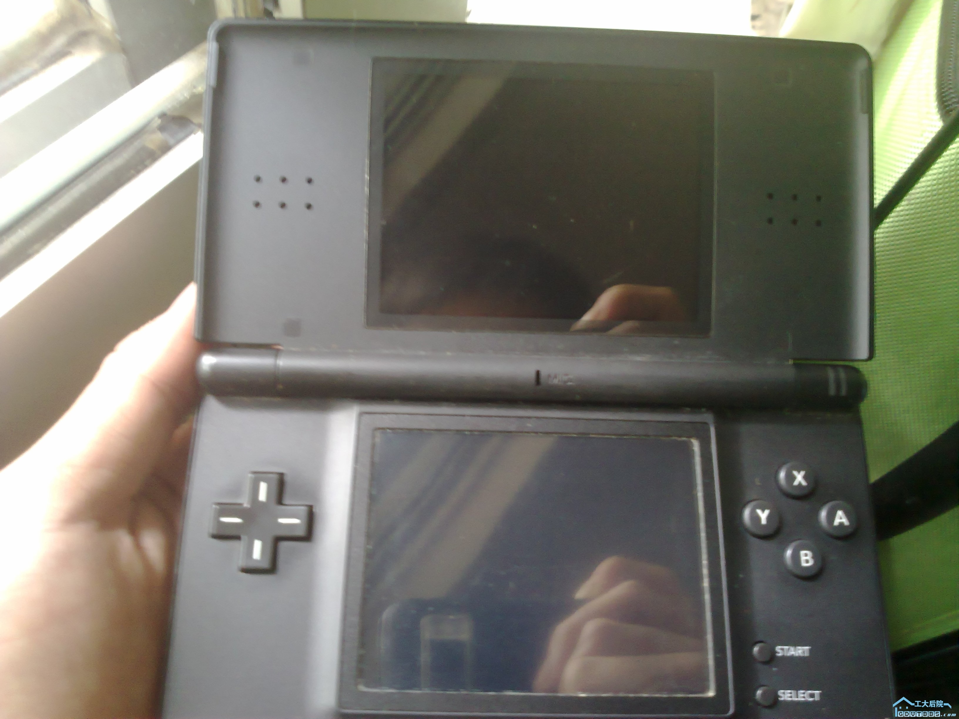 20101025055.jpg