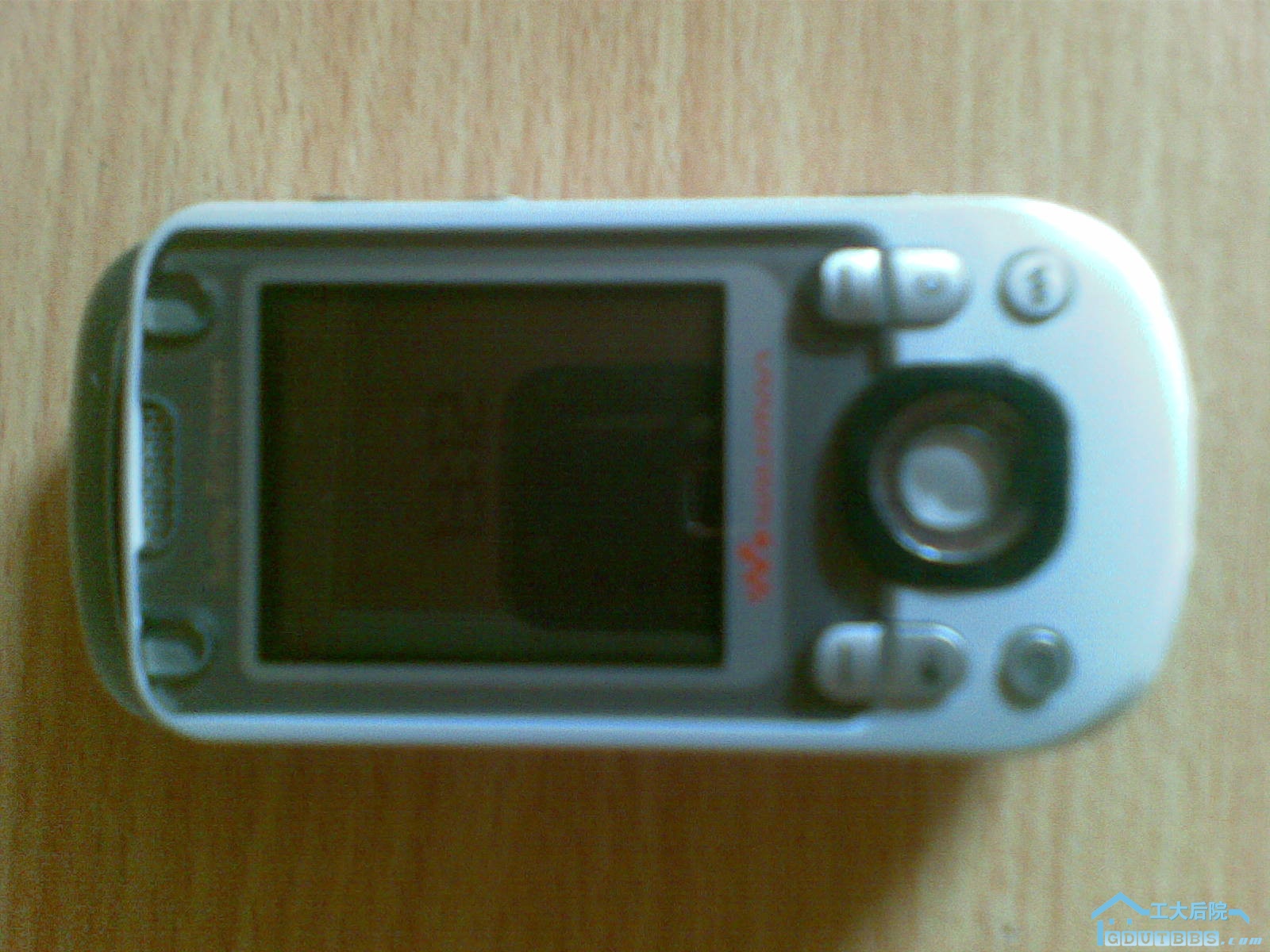 20101026.jpg