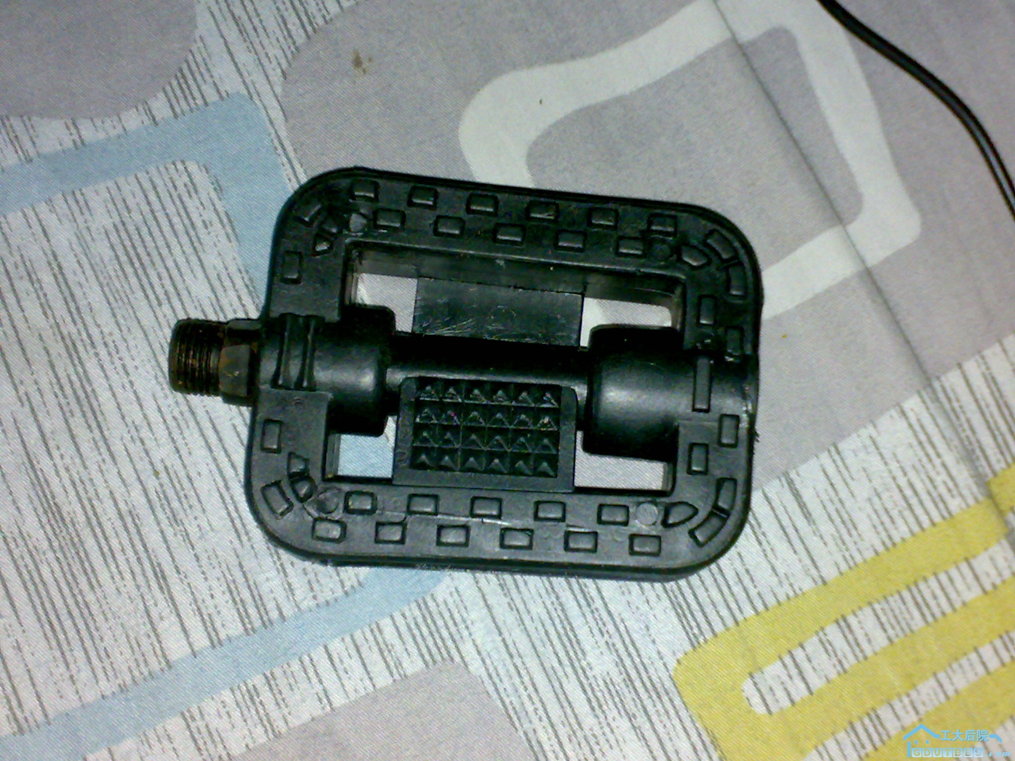 20101101060.jpg