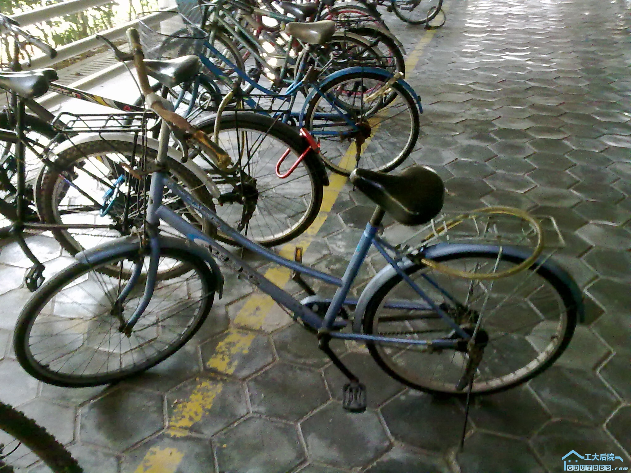 20101030050.jpg