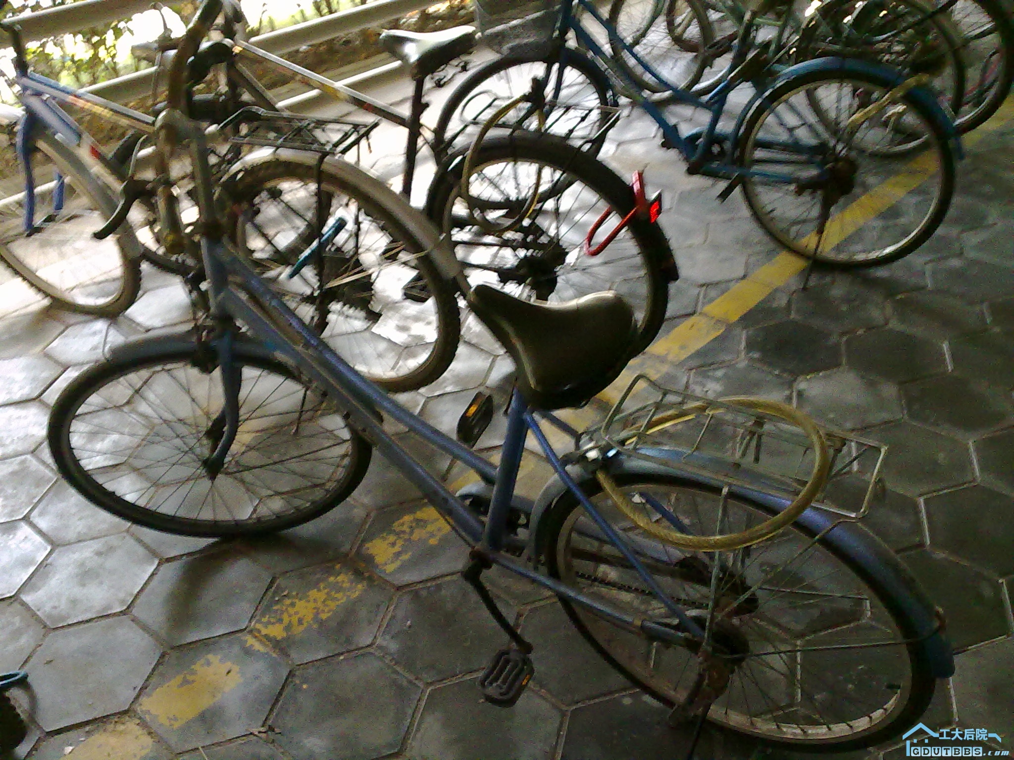 20101030051.jpg