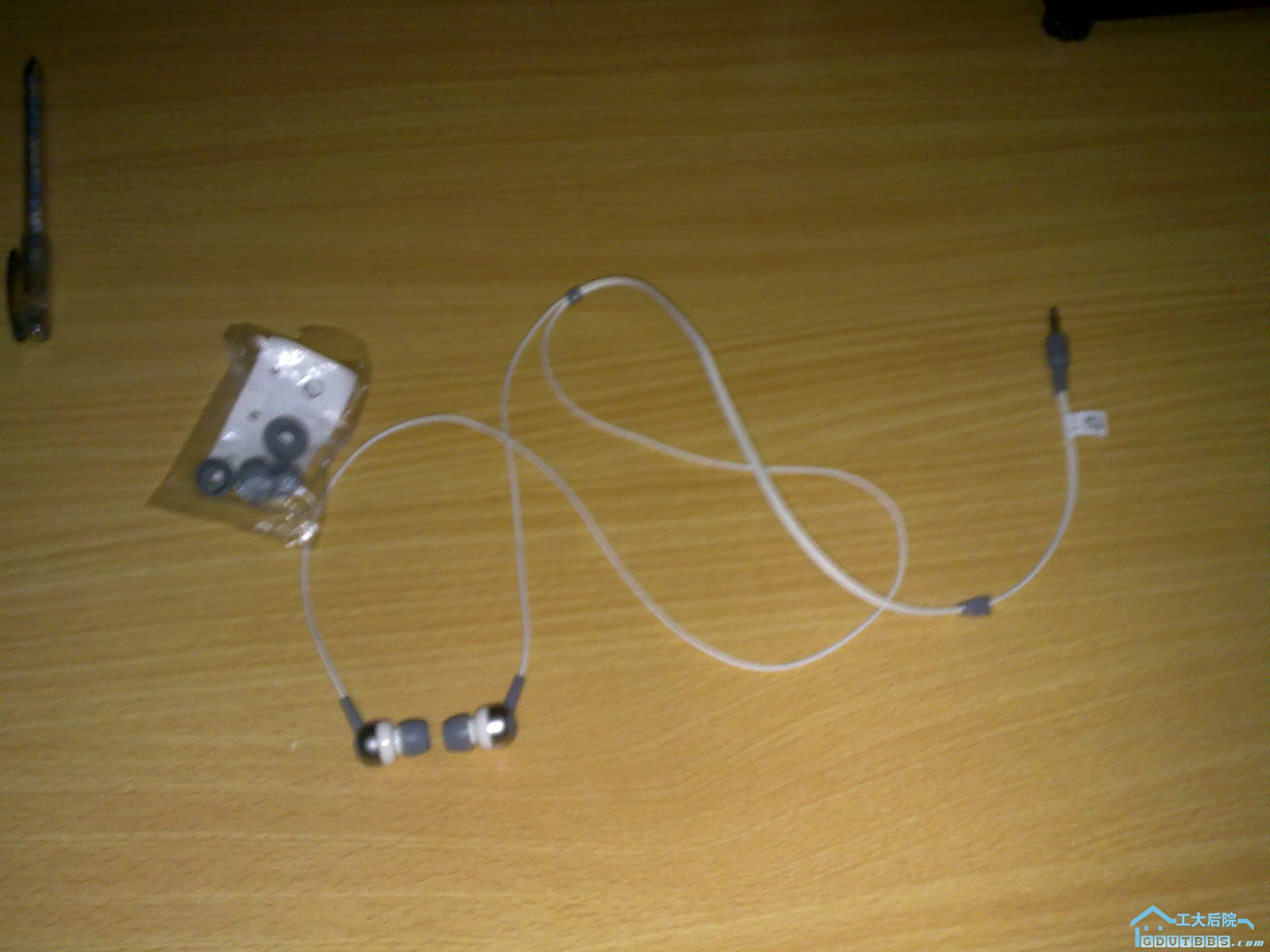 20101101095.jpg