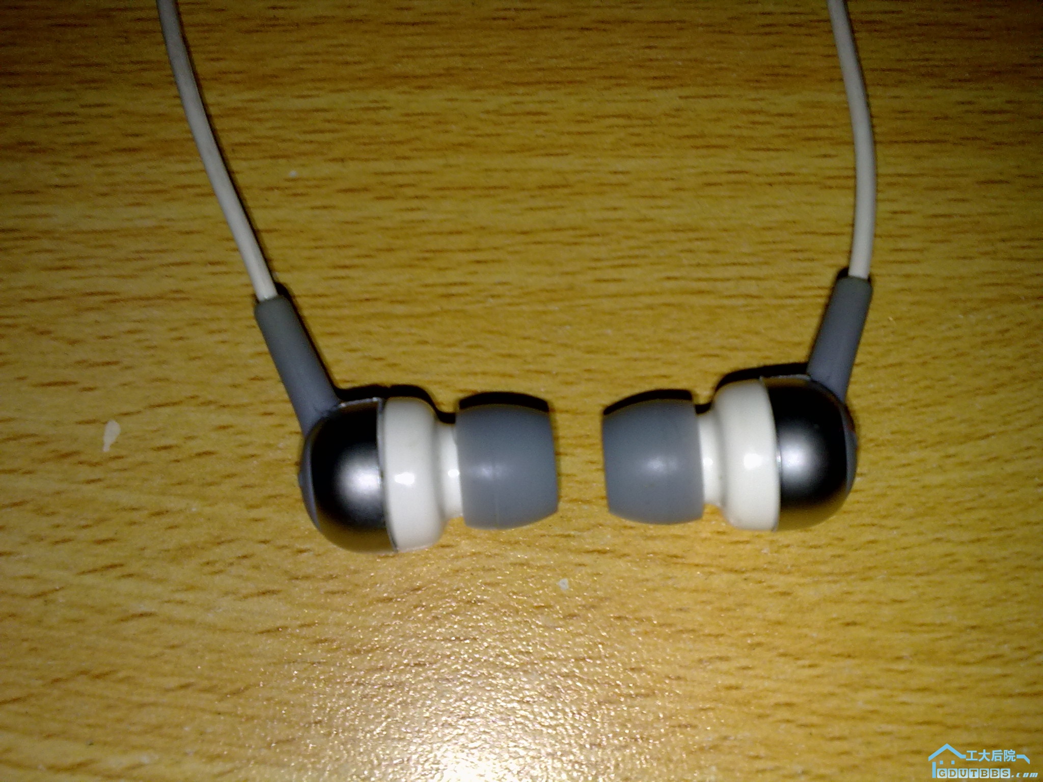 20101101097.jpg