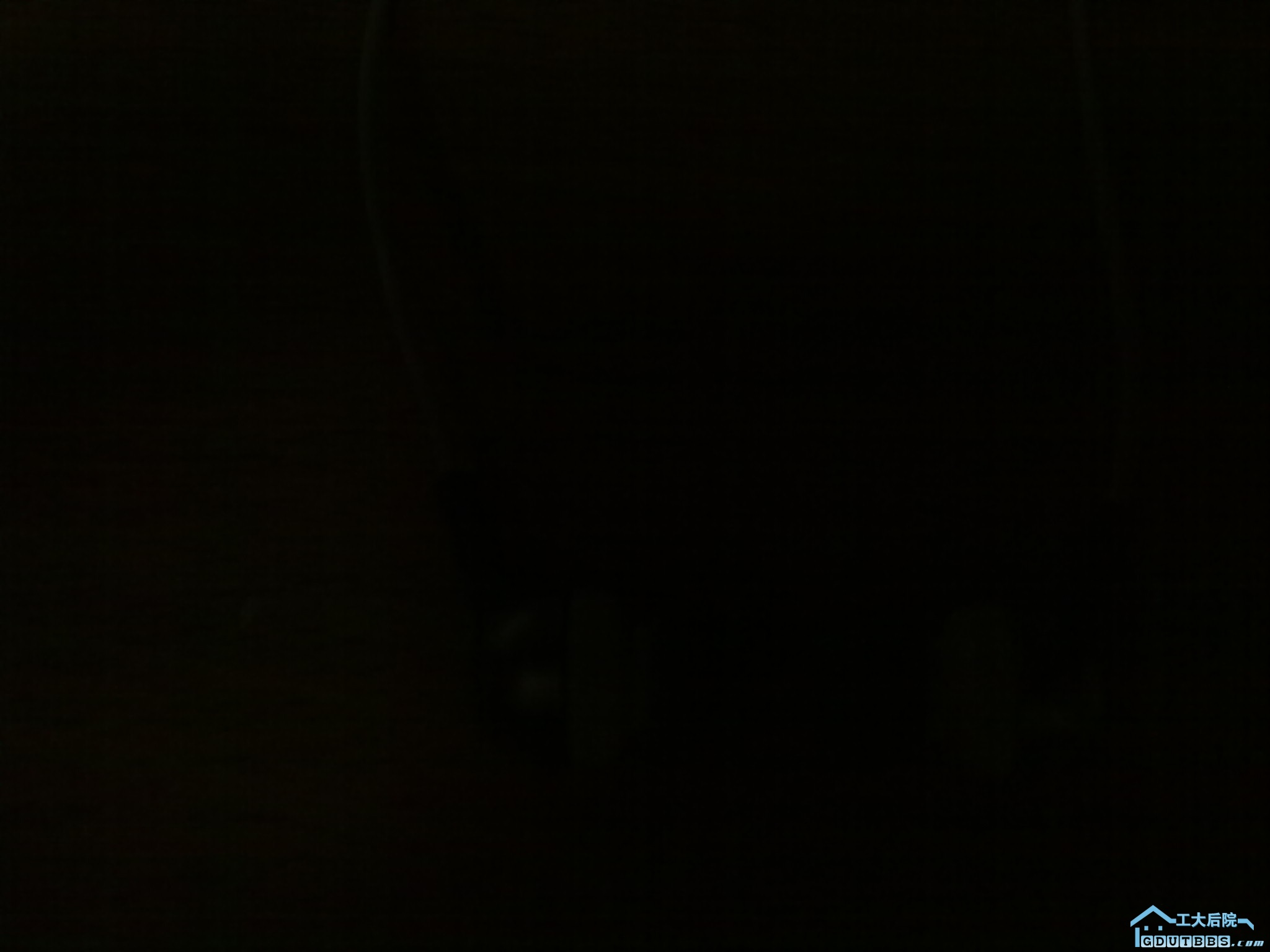 20101101096.jpg