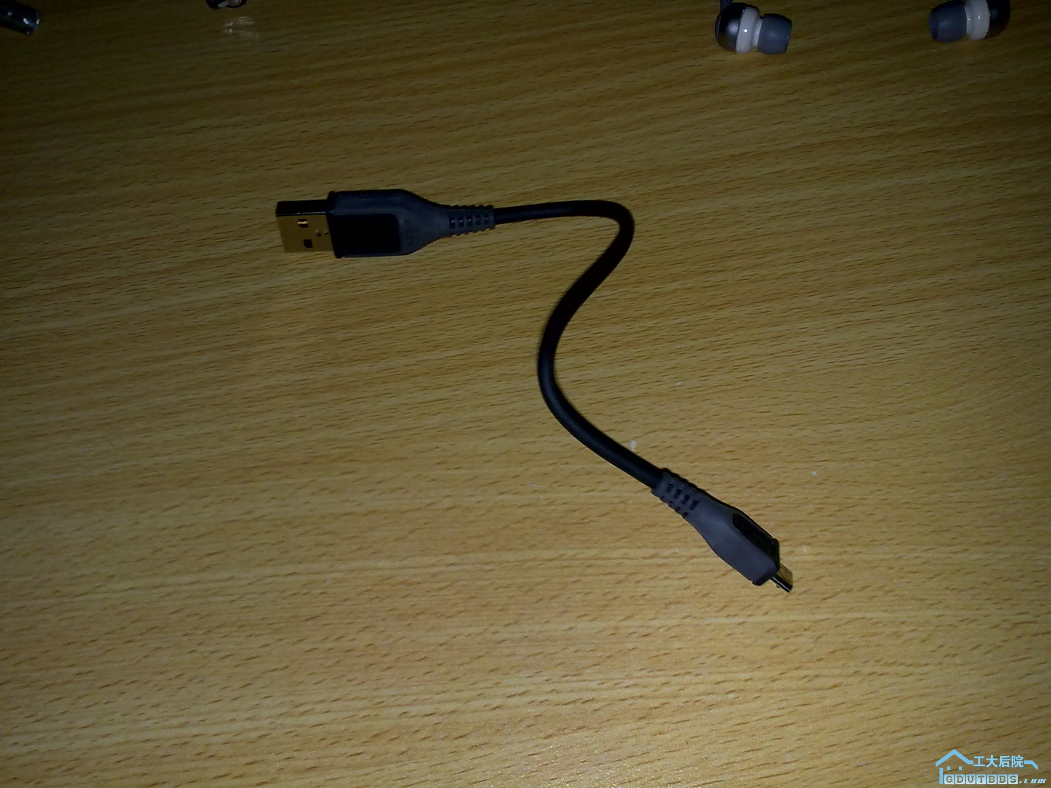 20101101098.jpg