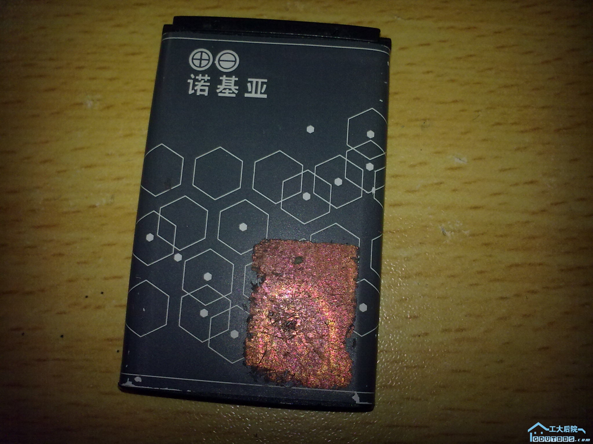 (已出)BL-5C尸体2