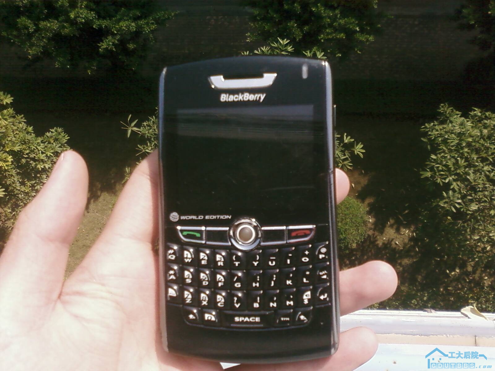 PIC-0009.jpg