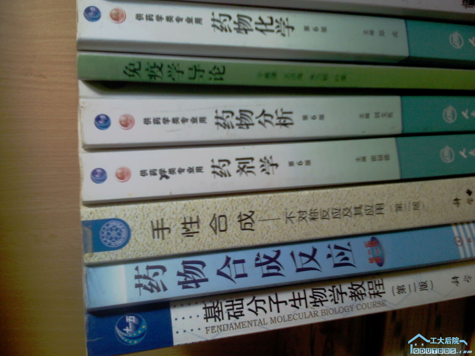 IMAG0133.jpg