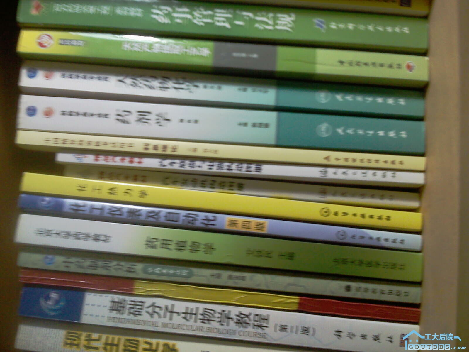 IMAG0138.jpg