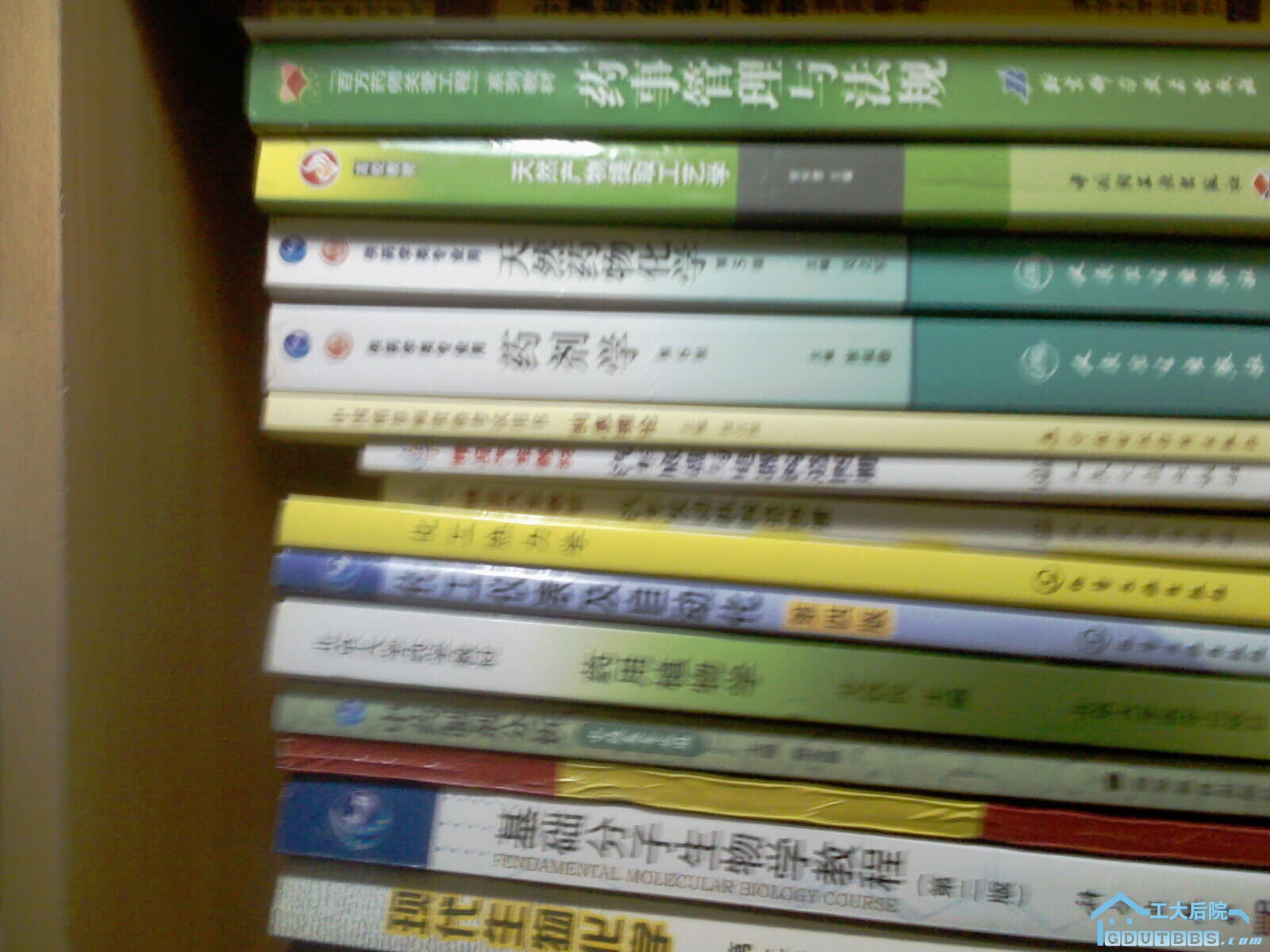 IMAG0137.jpg