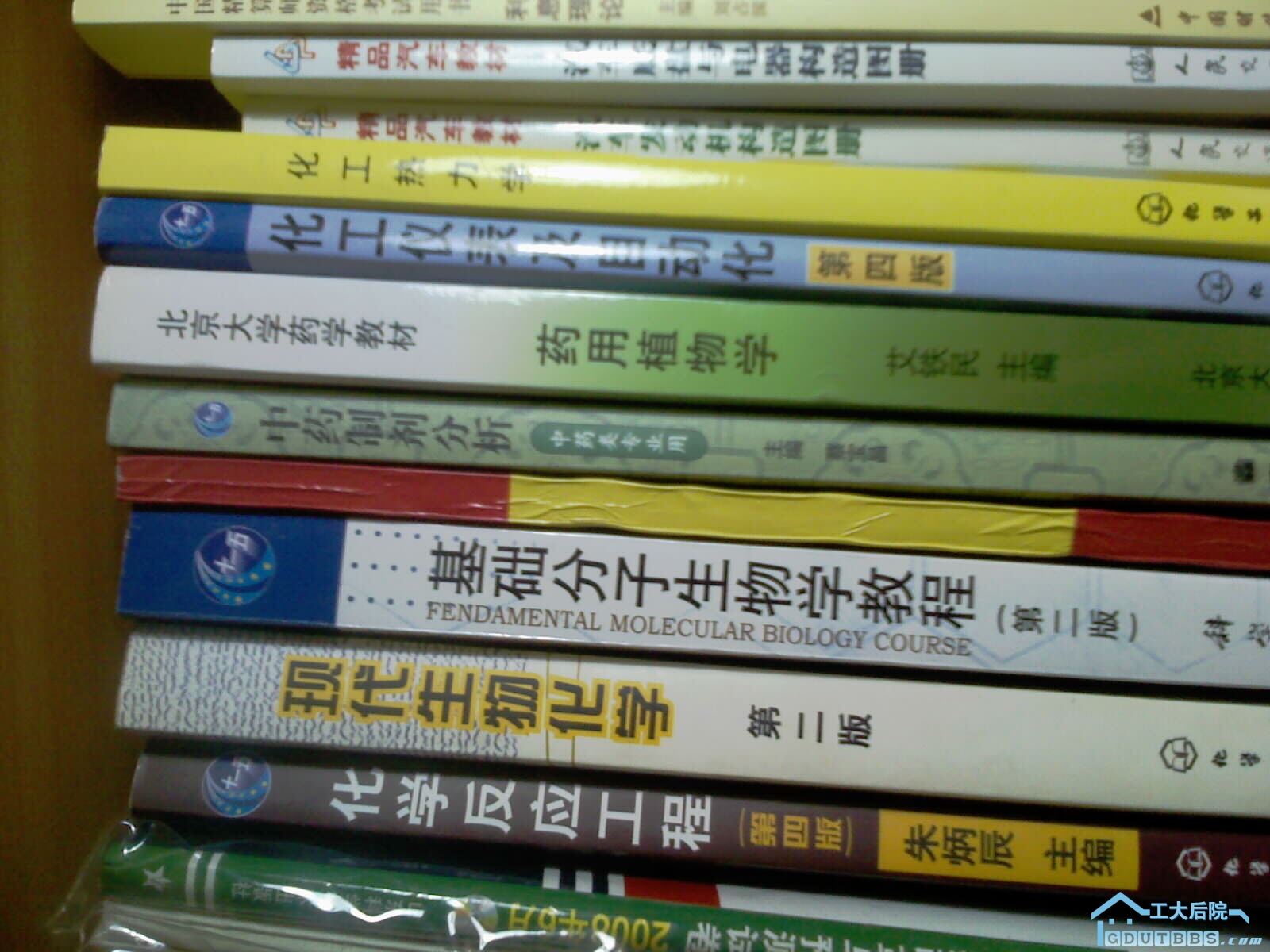 IMAG0135.jpg