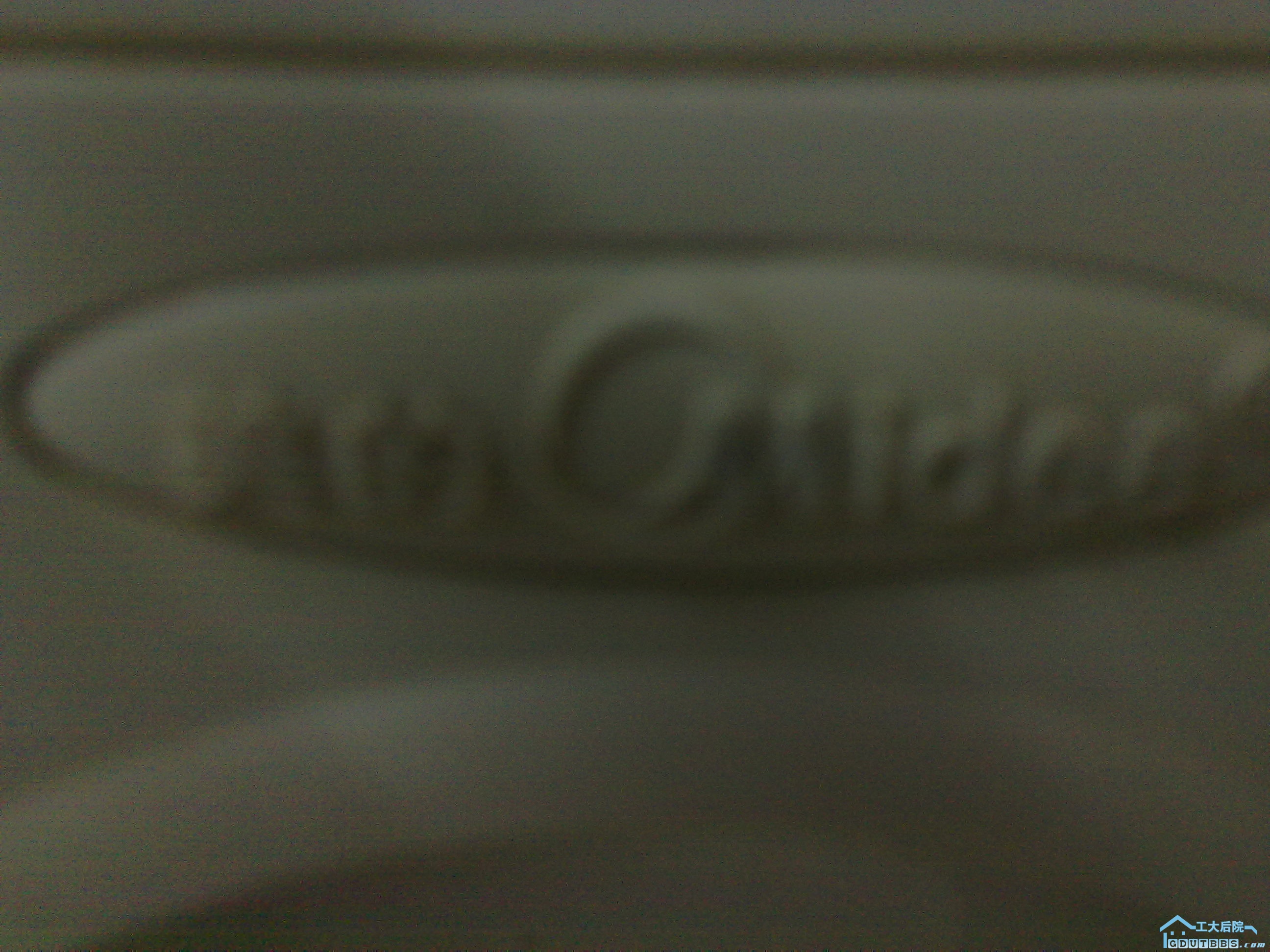 20101125164.jpg